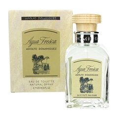 Meeste parfüüm Agua Fresca Adolfo Dominguez EDT: Maht - 120 ml hind ja info | Parfüümid meestele | hansapost.ee