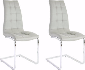 Комплект из 2 стульев Bruno, серый цена и информация | Стулья для кухни и столовой | hansapost.ee