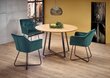 2 tooli komplekt Halmar K377, roheline hind ja info | Köögitoolid, söögitoolid | hansapost.ee