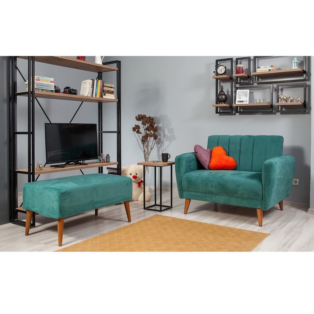 Diivan Artie Aqua Loveseat, sinine hind ja info | Diivanvoodid ja diivanid | hansapost.ee