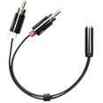 Deltaco AUD-204, Aux Aux 3.5 mm/RCA, 0.1 m