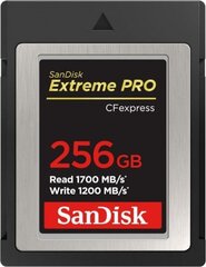 Mälupulk SANDISK Extreme Pro 256GB CFexpress Card hind ja info | Fotoaparaatide mälukaardid | hansapost.ee