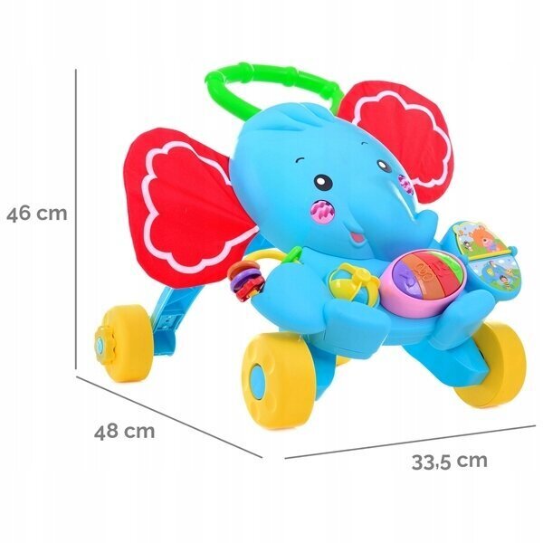 Muusikaline lükatav mänguasi Lorelli Elephant цена и информация | Beebide mänguasjad | hansapost.ee