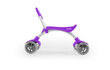 Milly Mally käimistugi/ ratas Orion helendavate ratastega, lilla hind ja info | Beebide mänguasjad | hansapost.ee