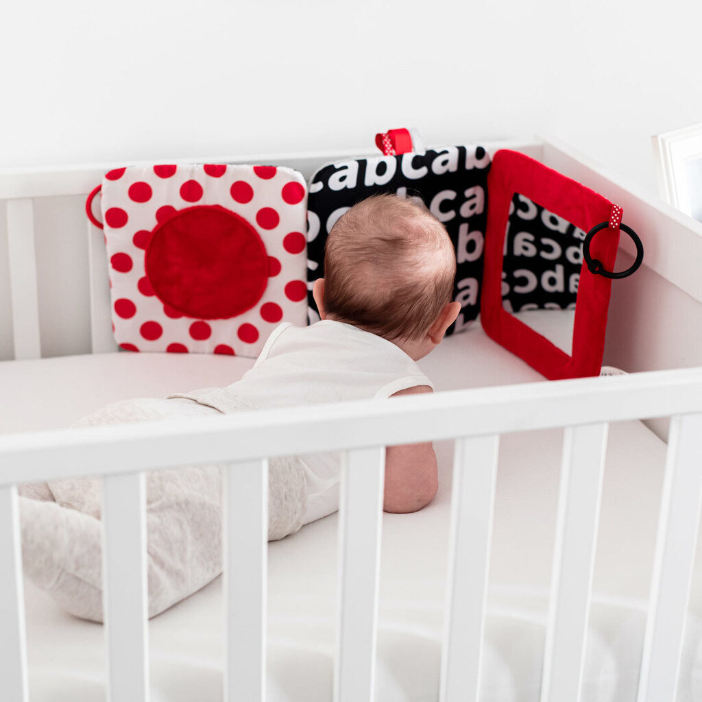 Canpol babies Kontrastpeegel lapsele SENSORY TOYS 68/079 hind ja info | Beebide mänguasjad | hansapost.ee