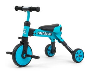 Трехколесный велосипед Milly Mally 2в1 GRANDE, синий цена и информация | Игрушки для малышей | hansapost.ee