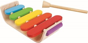 Muusikainstrument PlanToys Oval Xylophone hind ja info | Arendavad laste mänguasjad | hansapost.ee