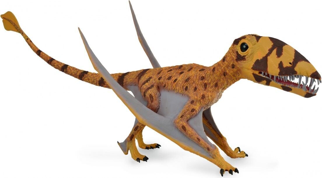 Collecta Dimorphodon liikuva lõuaga- Deluxe, 88798 цена и информация | Mänguasjad poistele | hansapost.ee
