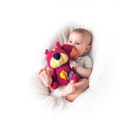 Niny 700017 Soft pendant toy - Cute squirrel for kids 0+ years (24cm) hind ja info | Beebide mänguasjad | hansapost.ee
