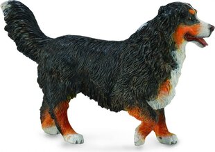 Фигурка собаки - Бернская горная собака Collecta, 7x10 см цена и информация | Игрушки для мальчиков | hansapost.ee