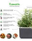 Click and Grow Smart Garden Refill 3 pakendit, Rosmariin hind ja info | Nutipotid ja taimelambid | hansapost.ee