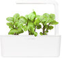 Click & Grow Smart Garden refill Verev oblikas 3tk hind ja info | Nutipotid ja taimelambid | hansapost.ee