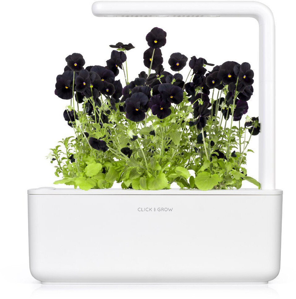 Click & Grow Smart Garden refill Must kannike 3tk цена и информация | Nutipotid ja taimelambid | hansapost.ee