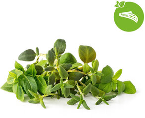 Click & Grow Plant Pod Italian Mix 9tk hind ja info | Nutipotid ja taimelambid | hansapost.ee