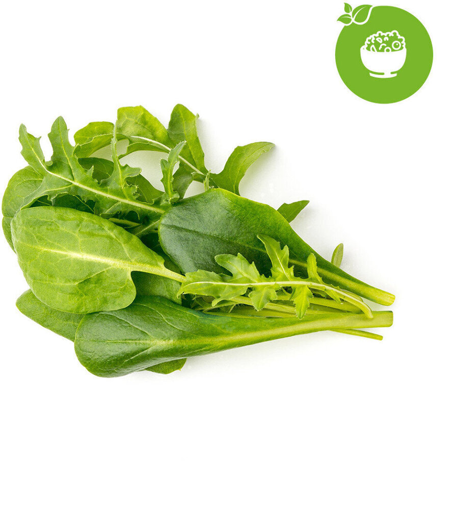 Click & Grow Plant Pod Salad Mix 9tk цена и информация | Nutipotid ja taimelambid | hansapost.ee