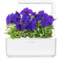 Click & Grow Smart Garden refill Sinine petuunia 3tk цена и информация | Nutipotid ja taimelambid | hansapost.ee