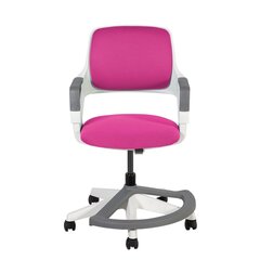 Laste arvutitool Rookee, roosa price and information | Office chairs | hansapost.ee