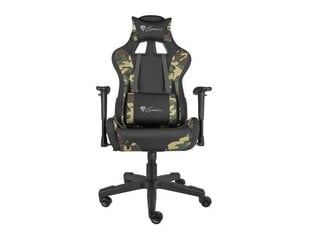 Genesis Gaming chair Nitro 560, NFG-1532, Brown цена и информация | Офисные кресла | hansapost.ee