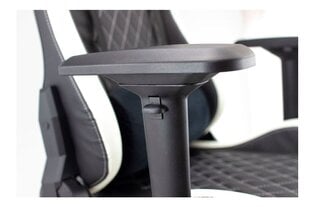 White Shark NITRO-GT Gaming Chair Nitro GT black/white цена и информация | White Shark Мебель и домашний интерьер | hansapost.ee