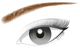 BROW ARTIST DESIGNER - uzacu zīmulis, 303 Deep Brown цена и информация | Карандаши, краска для бровей | hansapost.ee