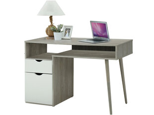 Письменный стол Notio Living Sebi, серый цена и информация | Компьютерные, письменные столы | hansapost.ee