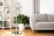 Põrandaventilaator Sencor SFN4040SL, hõbedane hind ja info | Ventilaatorid | hansapost.ee