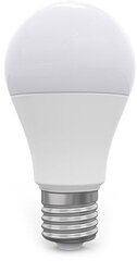 Omega LED лампочка E27 15W 2800K (43758) цена и информация | Omega Сантехника, ремонт, вентиляция | hansapost.ee