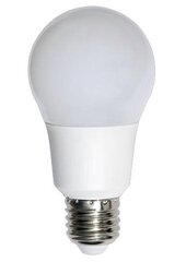 LEDURO Power consumption 10 Watts Luminous flux 1000 Lumen 4000 K 220-240V Beam angle 330 degrees 21210 price and information | Light bulbs and LED bulbs | hansapost.ee