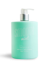 Жидкое мыло для рук с дозатором IDC Institute Smooth Touch Mint 500 мл цена и информация | Мыло | hansapost.ee