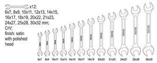 Набор ключей рожковых Yato (YT-0381), 12 шт. цена и информация | Механические инструменты | hansapost.ee