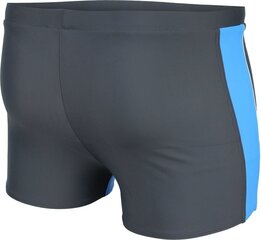 Ujumispüksid Aqua Speed Jason M sinine, 44097 price and information | Swimming shorts | hansapost.ee