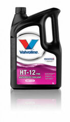 Jahutusvedelik HT-12 PINK RTU 5L, Valvoline hind ja info | Valvoline Autokeemia ja õhuvärskendajad | hansapost.ee