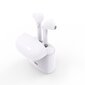Bluetooth Contact Earbuds With Microphone By KSIX White цена и информация | Kõrvaklapid | hansapost.ee