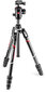 Manfrotto statiivikomplekt Befree GT CF 4 MKBFRTC4GT-BH цена и информация | Fotoaparaatide statiivid | hansapost.ee