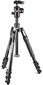 Manfrotto statiiv MKBFRLA4B-BHM Befree 2N1 цена и информация | Fotoaparaatide statiivid | hansapost.ee