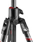 Manfrotto statiivikomplekt MKBFRC4GTXP-BH Befree GT XPRO hind ja info | Fotoaparaatide statiivid | hansapost.ee