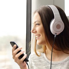 Ugreen MFI Lightning - 3,5 mm mini jack audio cable AUX headphones adapter gray (70509) цена и информация | Кабели для телефонов | hansapost.ee