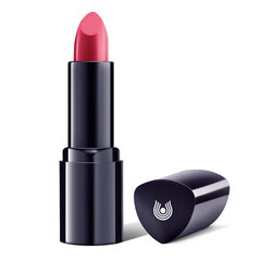 Huulepulk Dr. Hauschka Lipstick 4.1 g, 05 Fuchsia hind ja info | Huulekosmeetika | hansapost.ee