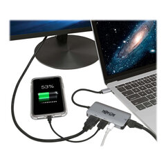 Tripp Lite USB-C Dock U444-06N-H4GUSC Single Display цена и информация | Адаптеры и USB-hub | hansapost.ee