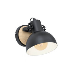 Eglo настенный светильник Lubenham 43164 цена и информация | Настенные светильники | hansapost.ee