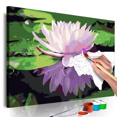 Maalimine numbrite järgi Vesiroos 60x40 cm цена и информация | Живопись по номерам | hansapost.ee