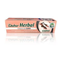 Травяная зубная паста Dabur Herbal Clove, 100 мл цена и информация | Для ухода за зубами | hansapost.ee
