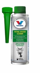 Присадка для бензина / очиститель системы PETROL SYSTEM CLEANER 300 мл, Valvoline цена и информация | Автохимия | hansapost.ee