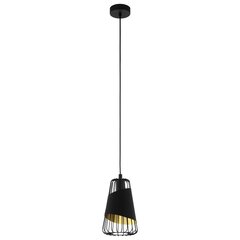 Eglo подвесной светильник Austell 49447 цена и информация | Люстры | hansapost.ee
