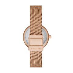 Skagen Amberline naiste käekell 891257092 hind ja info | Käekellad naistele | hansapost.ee