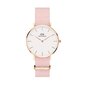 Daniel Wellington Petite 32 Rosewater naiste käekell цена и информация | Käekellad naistele | hansapost.ee