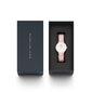 Daniel Wellington Petite 32 Rosewater naiste käekell цена и информация | Käekellad naistele | hansapost.ee