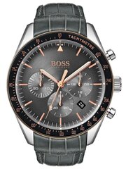 Часы мужские Hugo Boss 1513625 цена и информация | Hugo Boss Для мужчин | hansapost.ee