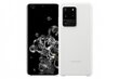 EF-PG988TWE Samsung Silicone Cover for Galaxy S20 Ultra White цена и информация | Telefonide kaitsekaaned ja -ümbrised | hansapost.ee
