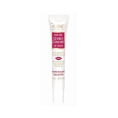 Niisutav huulepalsam Guinot Baume Levres Comfort 15 ml hind ja info | Huulekosmeetika | hansapost.ee